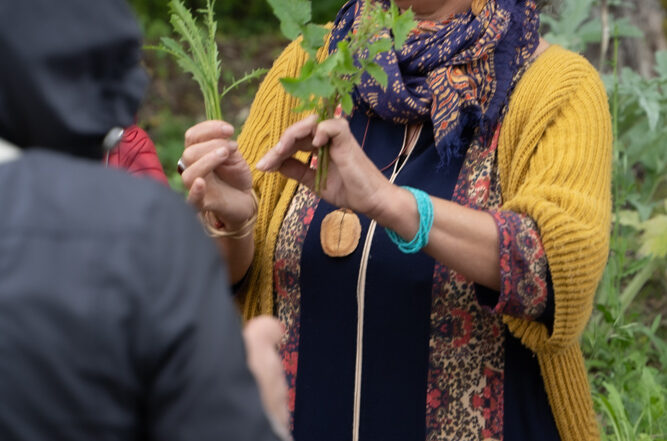 insegnante Caterina Modafferi